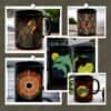 A set of five Aboriginal Art Mugs displays vibrant, dotted animal designs—including dinosaur, turtles, dolphins, and abstract circular motifs—each mug shown separately or grouped.