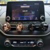bull dog car diffusers