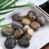 Ocean Jasper Tumble Stone Ten Ocean Jasper Tumble Stones, smooth and multicolored, are displayed on a white textured cloth in a tray with green leaves partially visible in the foreground.