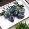 Five polished Moss Agate Tumble Stones are grouped on a white tray, accented by green sprigs, with a blurred potted plant in the background.