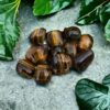 A small pile of Tigers Eye Tumble Stones with brown and gold bands rests on a gray stone surface, surrounded by green leafy plants.