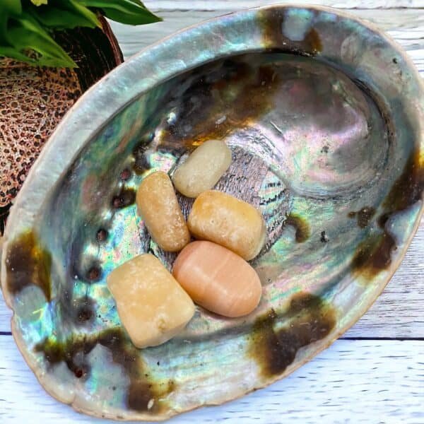 White Howlite Tumble Stone A Yellow Calcite Tumble Stone, smooth and polished, sits inside an iridescent abalone shell on a white wooden surface, with part of a plant in the background.