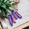 Purple Aura Angel Quartz Points Four Purple Aura Angel Quartz Points rest on a textured beige mat atop a wooden tray, surrounded by green plants and a small sand dish accented with greenery.