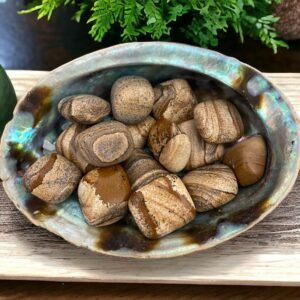 Picture Jasper stones display their brown and tan swirls in a polished abalone shell bowl, set on a wooden surface with green foliage in the background.