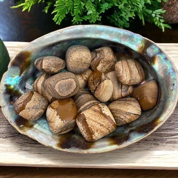 Picture Jasper stones display their brown and tan swirls in a polished abalone shell bowl, set on a wooden surface with green foliage in the background.