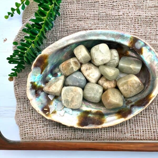An Aquamarine Tumble Stone rests in a shell dish on a textured beige mat, with a green leafy stem nearby.