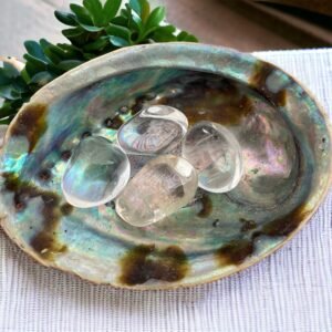 A few Clear Quartz Tumble Stones sit inside a vibrant abalone shell on a textured white surface, placed beside a small green plant.