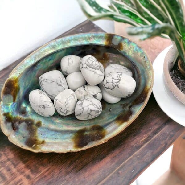A shiny abalone shell filled with White Howlite Tumble Stones featuring gray veining rests on a wooden surface beside a potted plant with long, green and white leaves.
