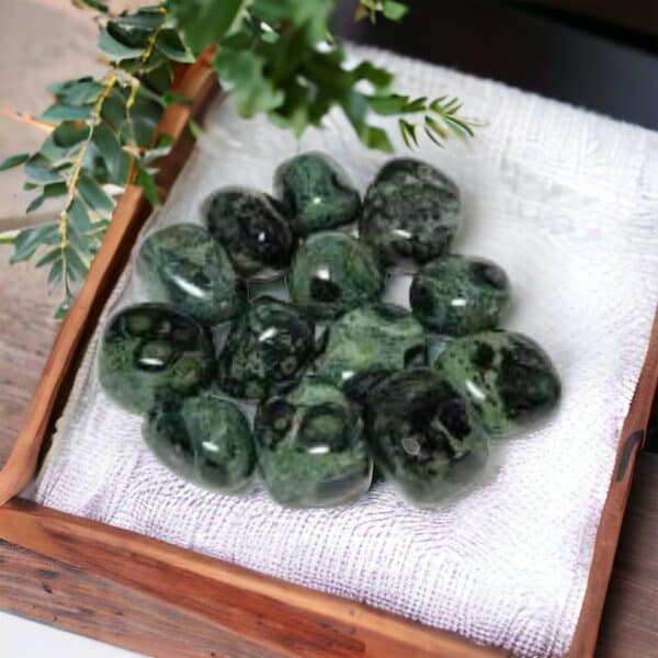 A wooden tray lined with white cloth displays several polished Kambala Jasper Tumble Stones alongside black stones, accented by green leaves overhead and set on a wooden surface.