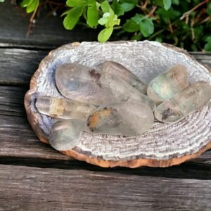 A round, striped stone plate displays several smooth Lodalite Tumble Stones with natural inclusions on weathered wood, accented by green leafy plants in the background.