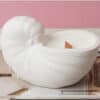 Sea Shell Scented Candle The Sea Shell Scented Candle, with a wooden wick and ceramic holder shaped like a sea shell, sits atop a stack of books.