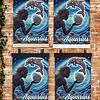 Aquarius Aboriginal Art Poster Four Aquarius Aboriginal Art Posters on a brick wall show a stylized Aquarius with flowing hair, holding a circle, facing a dolphin among swirling waves. Aquarius is written at the bottom of each poster.