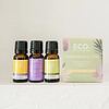 Three bottles of essential oils—Lavender, Lemongrass, and Lemon—stand beside a pastel green Calm and De-Stress Essential Oil Trio Pack box on a white surface, ideal for anyone seeking relaxation and stress relief.