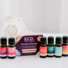 Mindset Essential Oil Kit Six bottles of essential oils are arranged in front of a purple Mindset Essential Oil Kit box labeled ECO. The Modern Essentials Mindset Collection is pictured, with a softly blurred decorative white shell in the background.