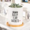 Favourite Child Personalised Ceramic Planter Pot The Favourite Child Personalised Ceramic Planter Pot features a succulent in a ceramic planter reading Aiden (crossed out), Bailey is my favorite with a red heart, set on a wooden coaster—perfect for displaying who’s really the favorite.