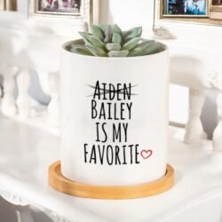The Favourite Child Personalised Ceramic Planter Pot features a succulent in a ceramic planter reading Aiden (crossed out), Bailey is my favorite with a red heart, set on a wooden coaster—perfect for displaying who’s really the favorite.