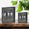 Two acrylic photo blocks display images of the moon’s phases on specific dates, labeled with names and descriptions. The blocks are set on a wooden surface next to green leafy plants.