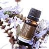Patchouli Pure Essential Oil IMG 8997 100x100
