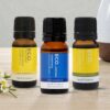 Summer Blessings Essential Oil Trio Photoroom 20251208 083603 100x100