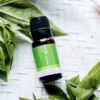 Basil essential oil bottle on leaves
