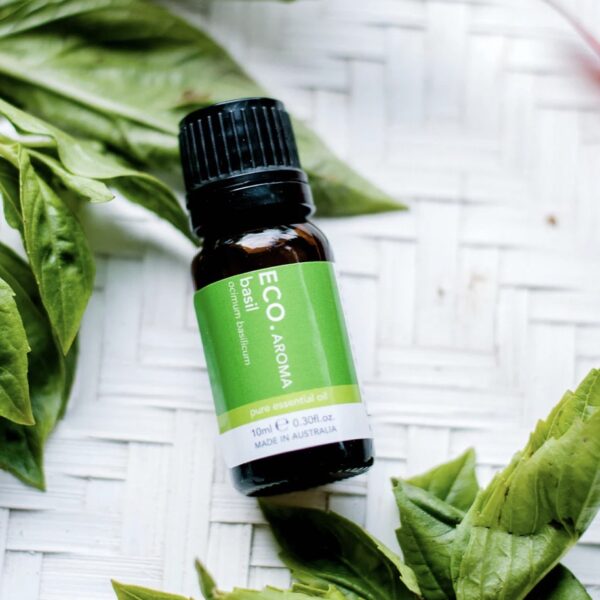 Summer Joy Essential Oil 4Pk Bundle Basil essential oil bottle on leaves